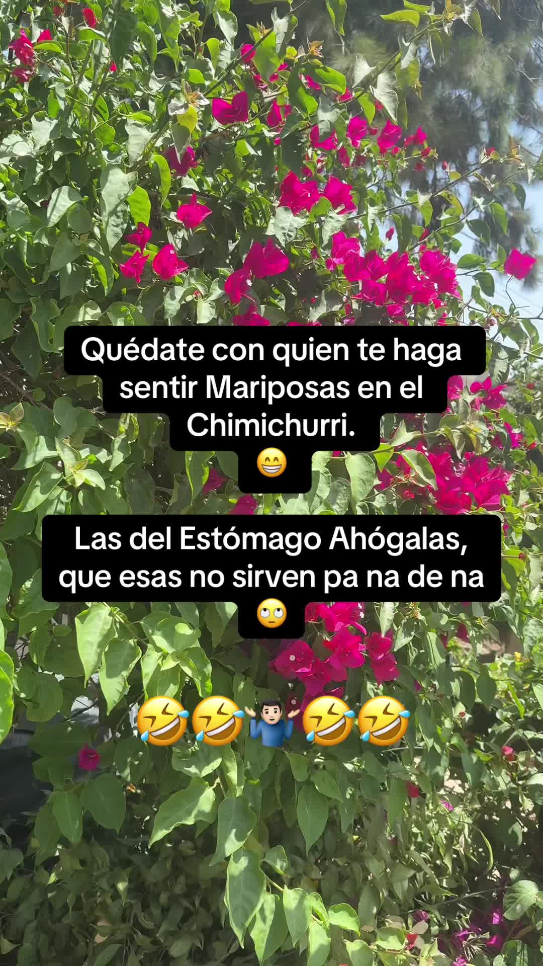 @💫Juan☄️