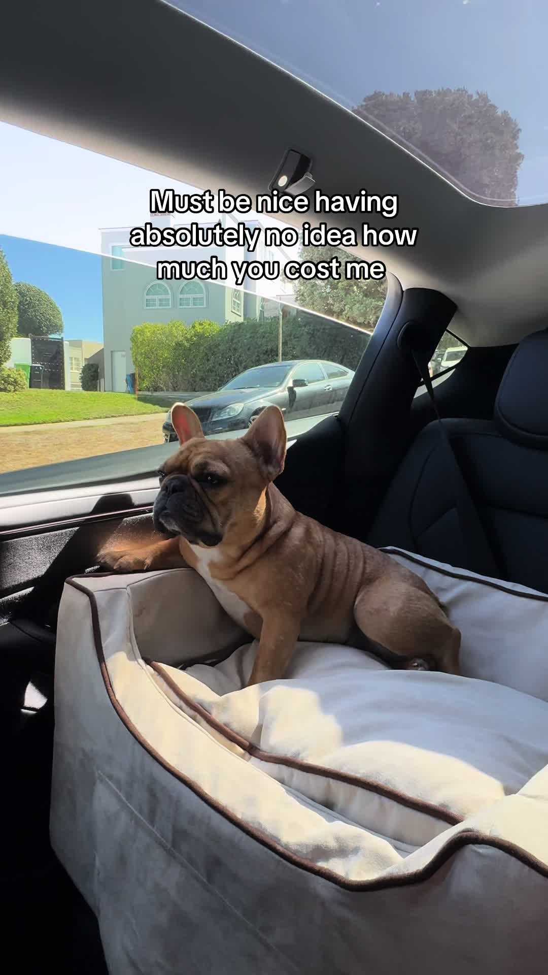 @Charlie Bear