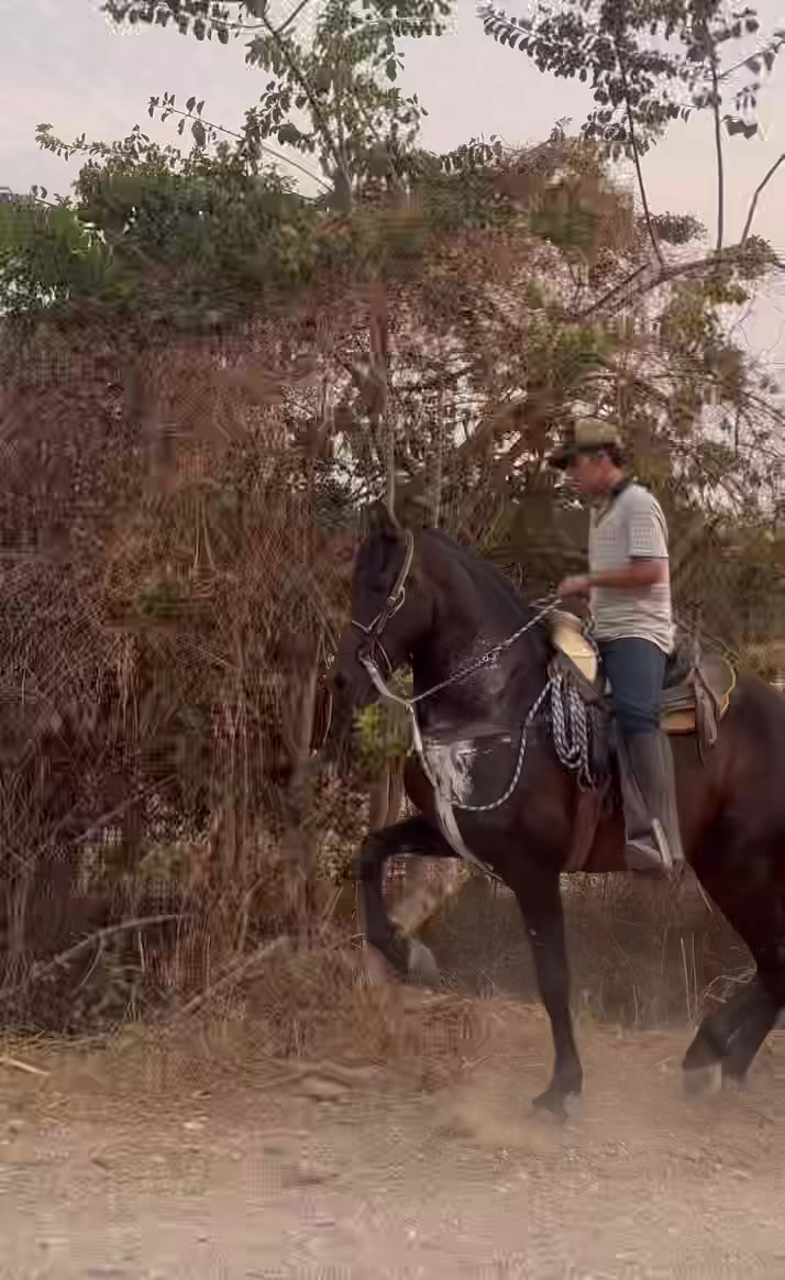 @K.borja🐴