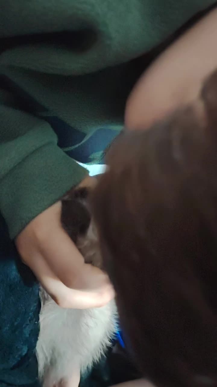 @Vivi