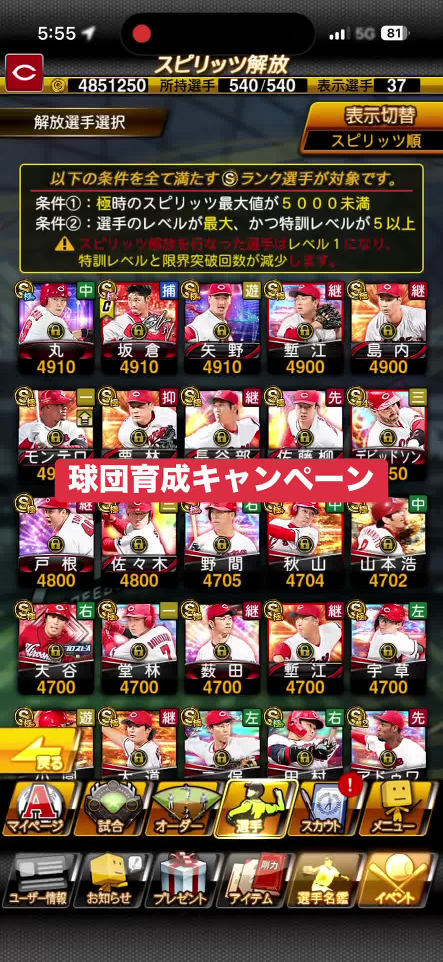 @とまぷー| カープカップル