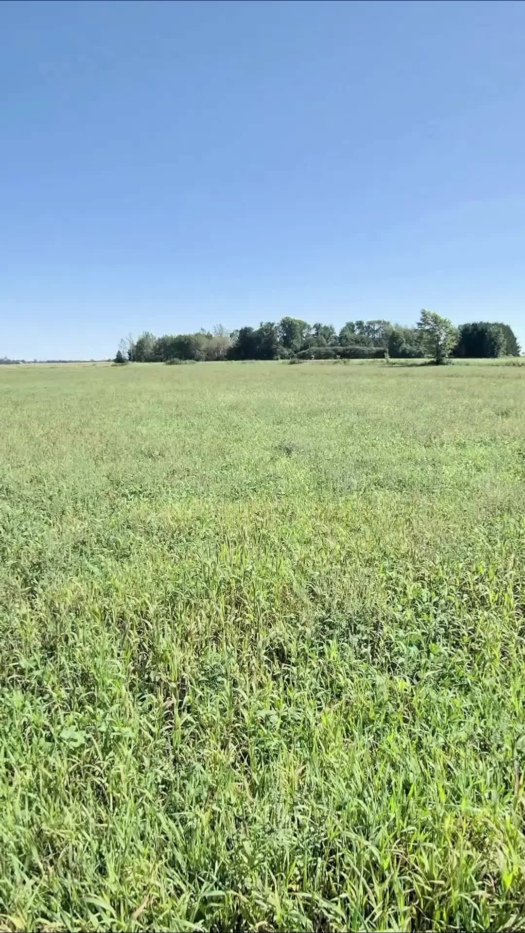 @RealAgriculture