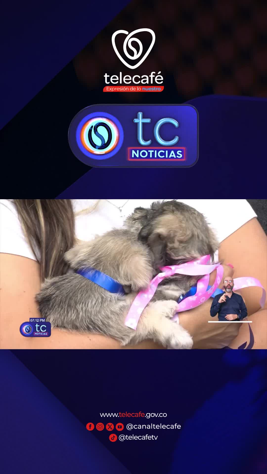 @Canal Telecaf&eacute;