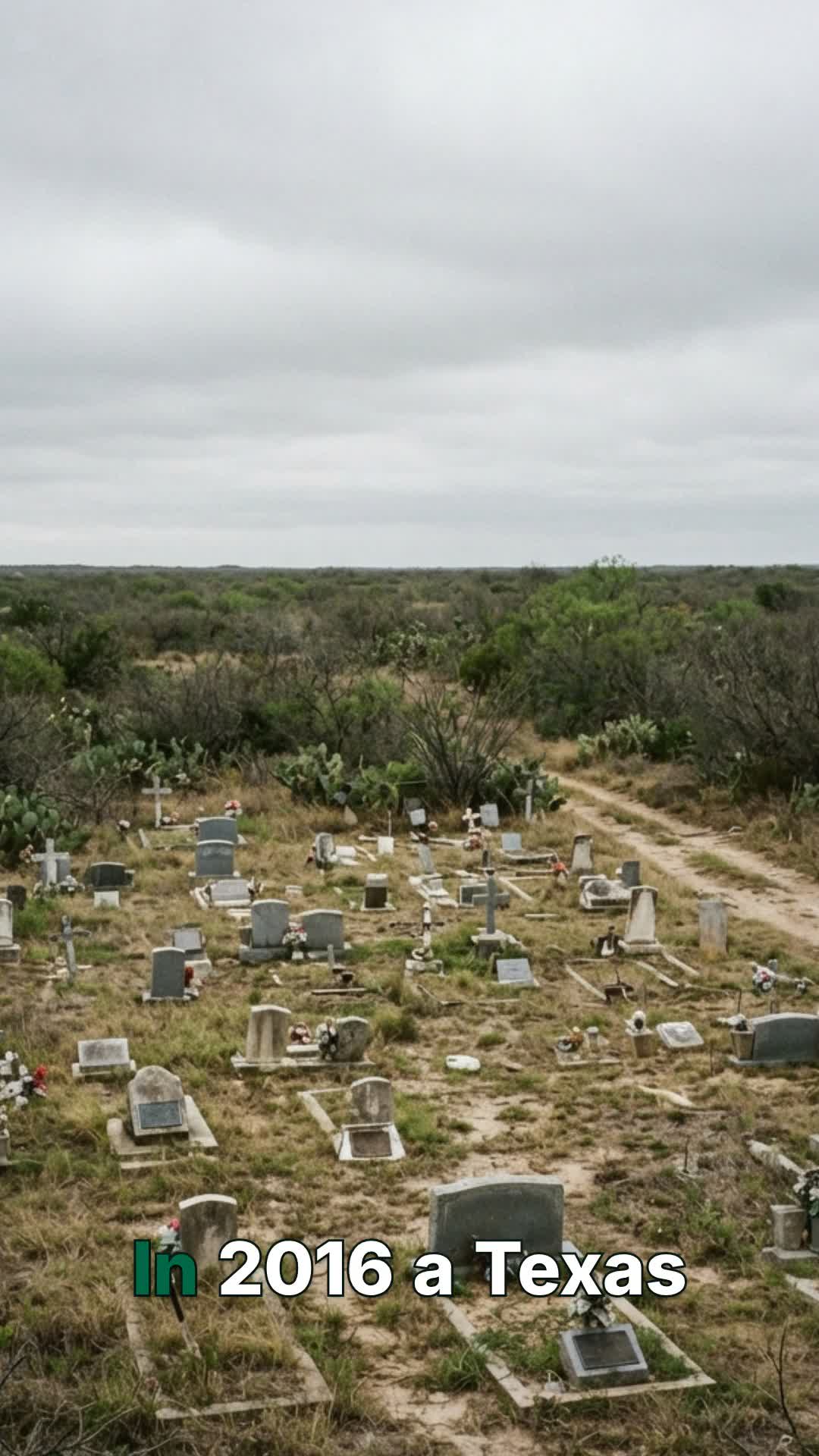 @lostmexicanamerica