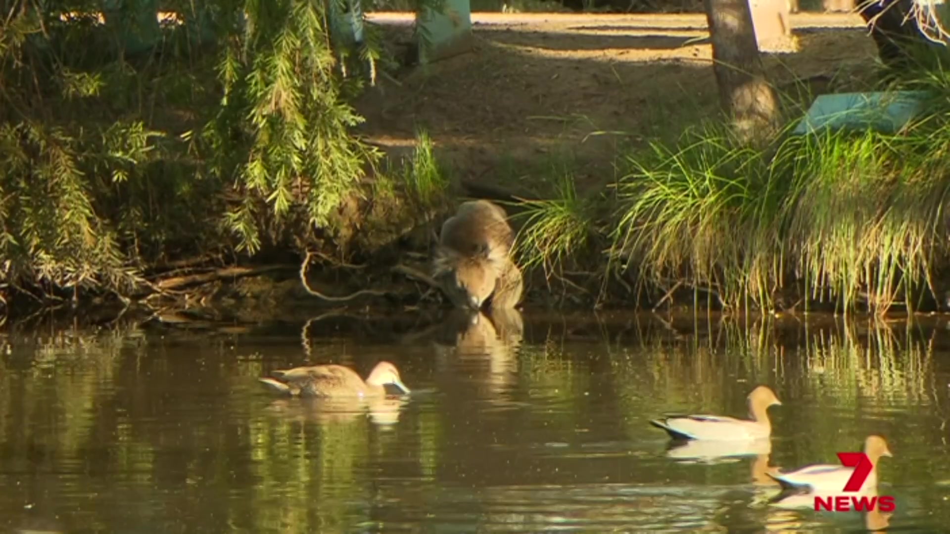 @7NEWSAdelaide
