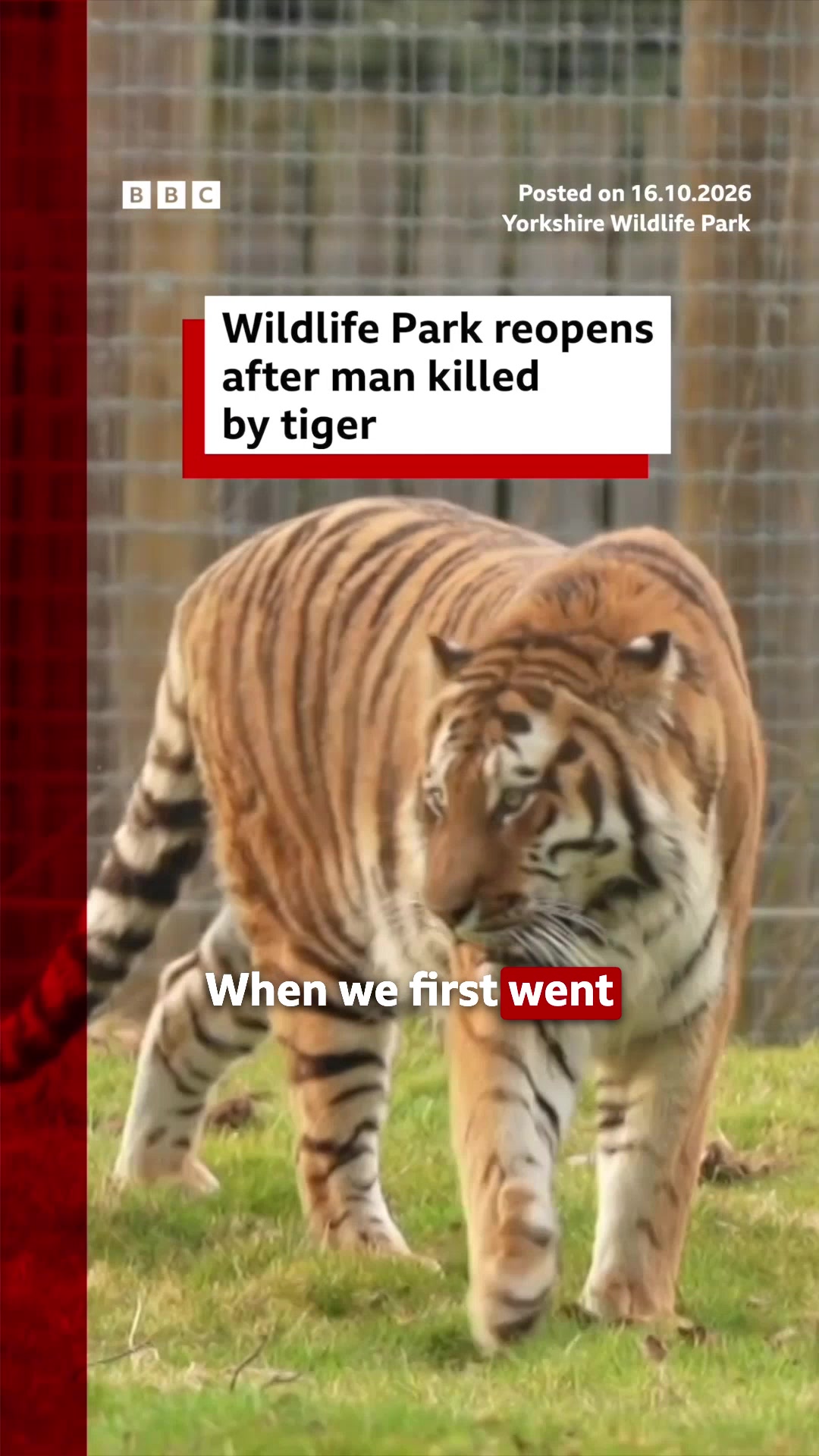@BBC News