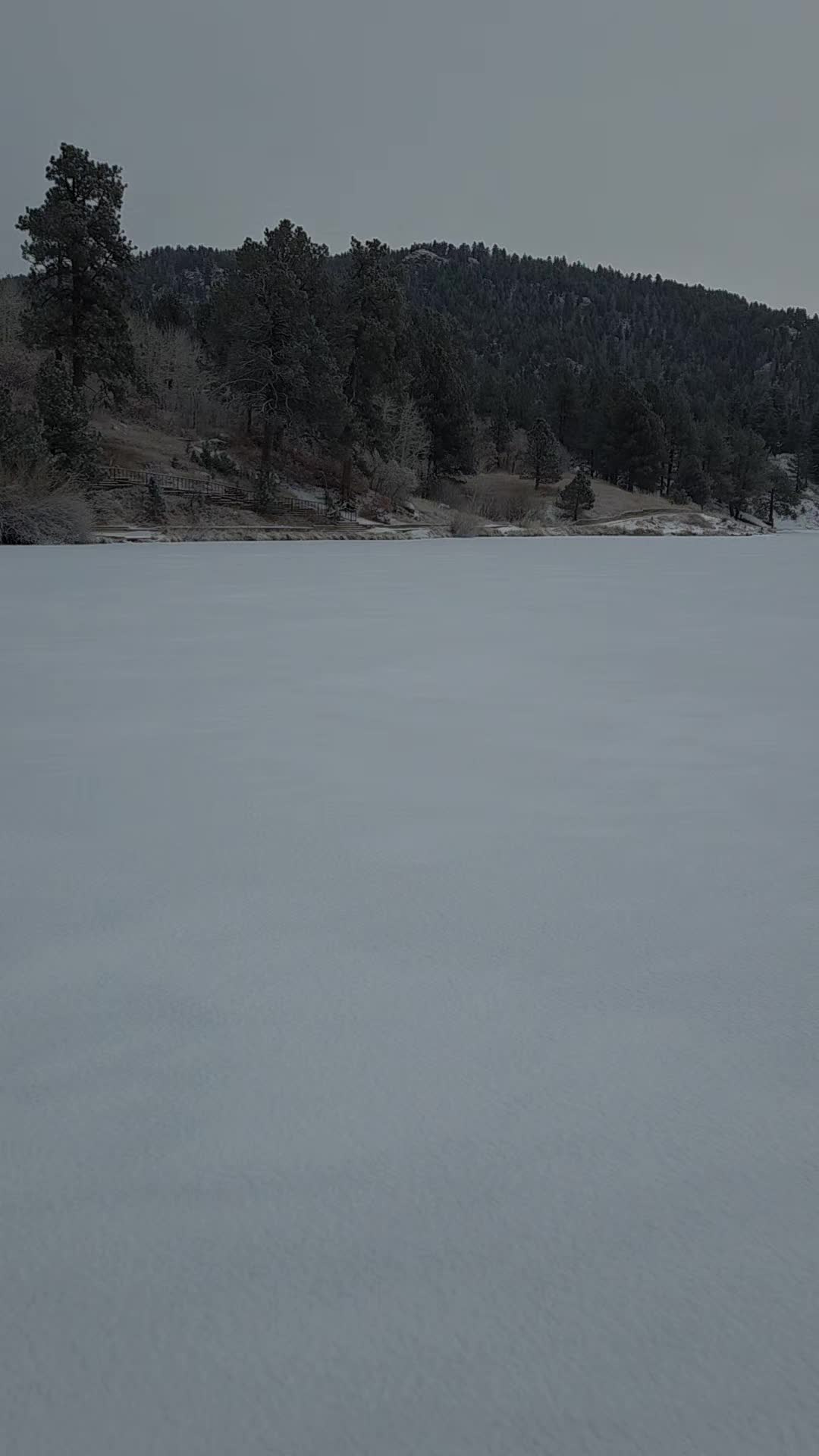 @Trailerpark2