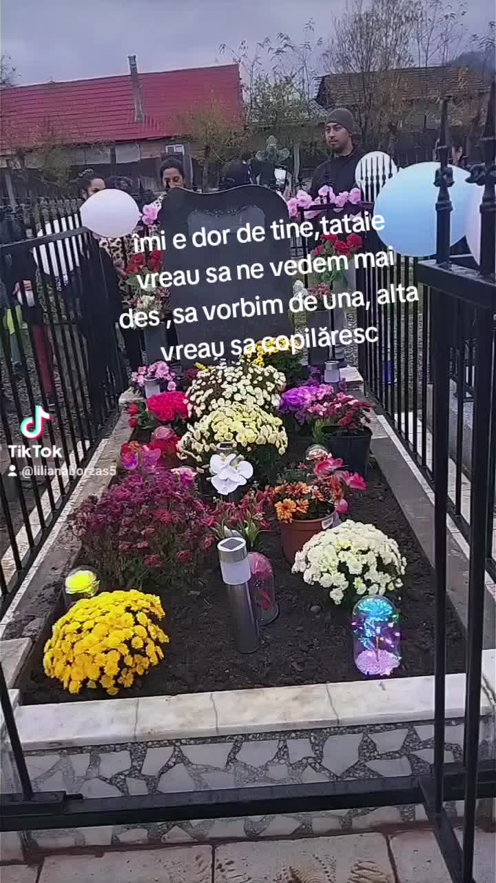 @🥀Lili🅰️N🅰️🥀