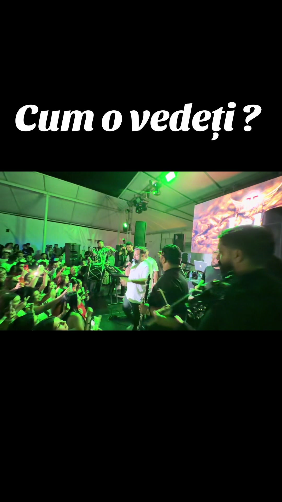 @LeLe Robert