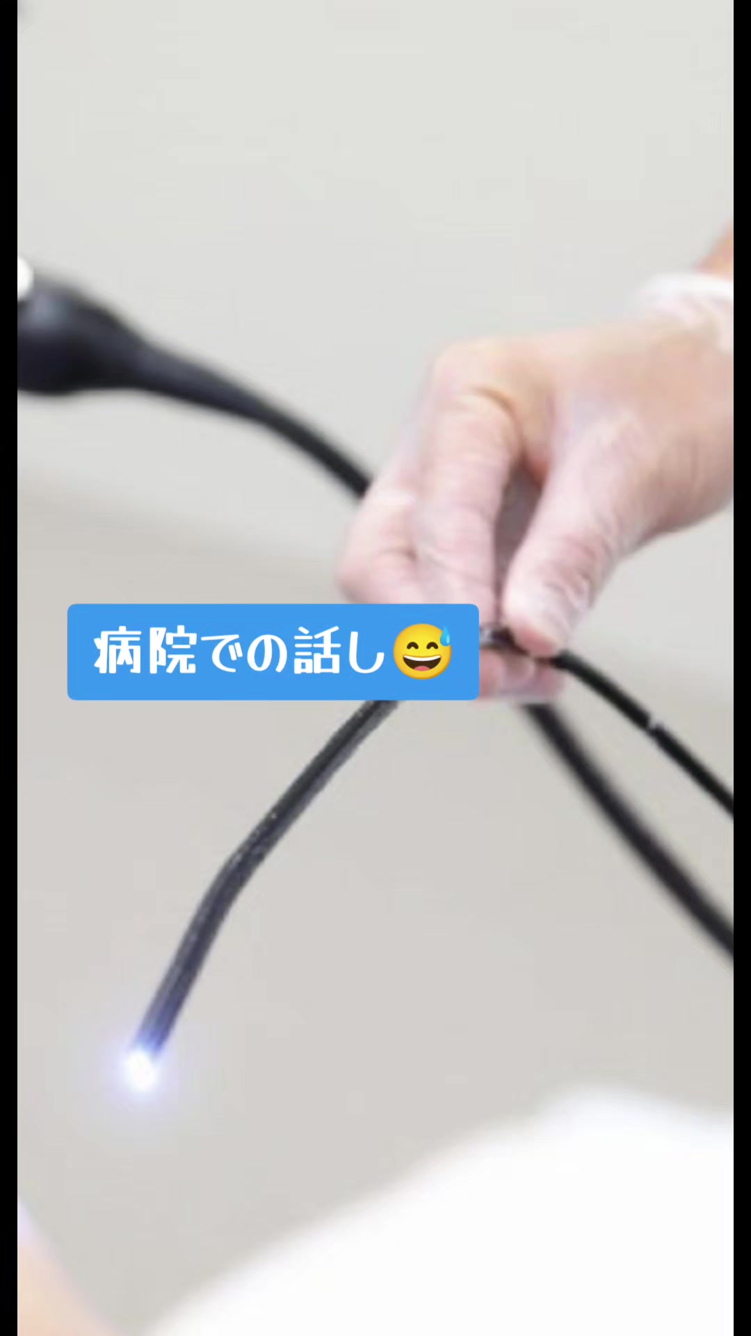 @ãšãŒããð§â£ïžð¥Š