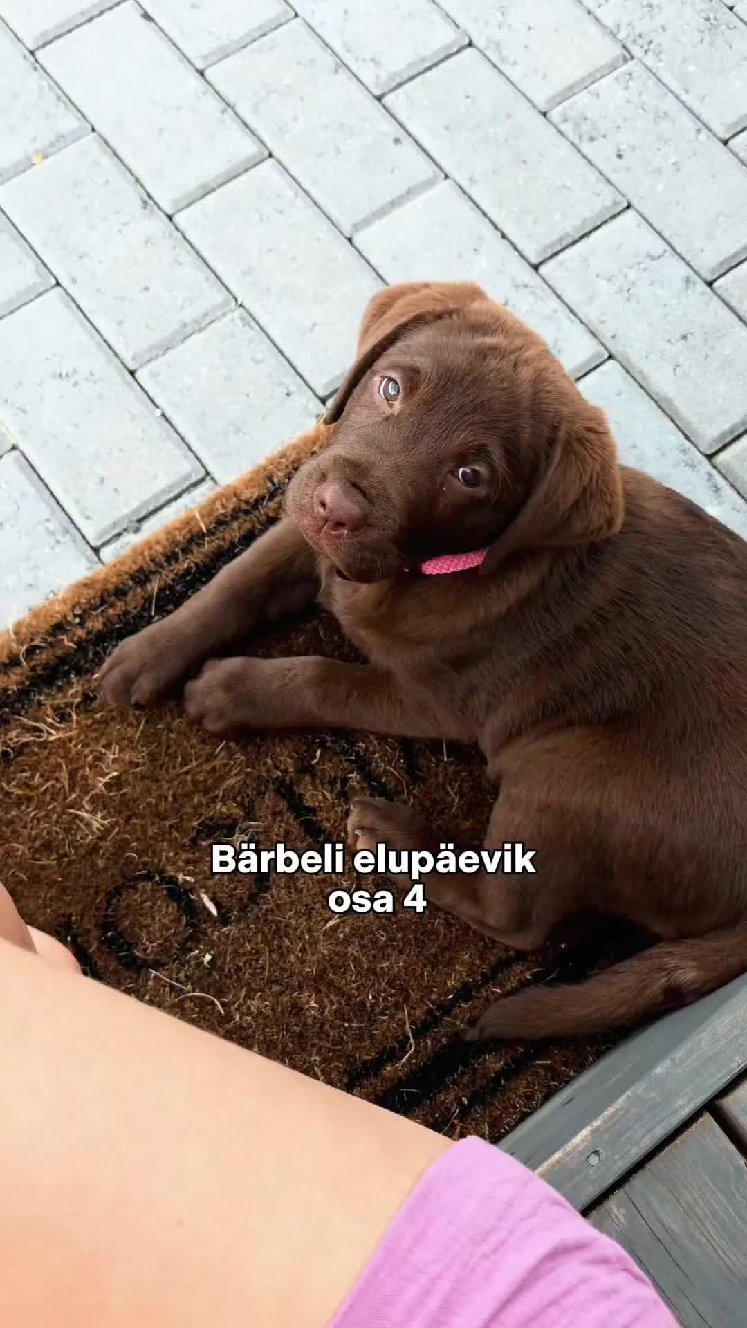 @Bärbel