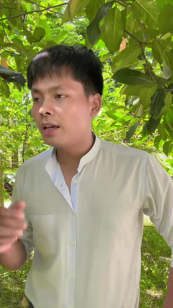 @๐๐พ๐ท๐ฐ๐๐๐ช๐๐๐ฝ๐พ๐ท{9.5M}
