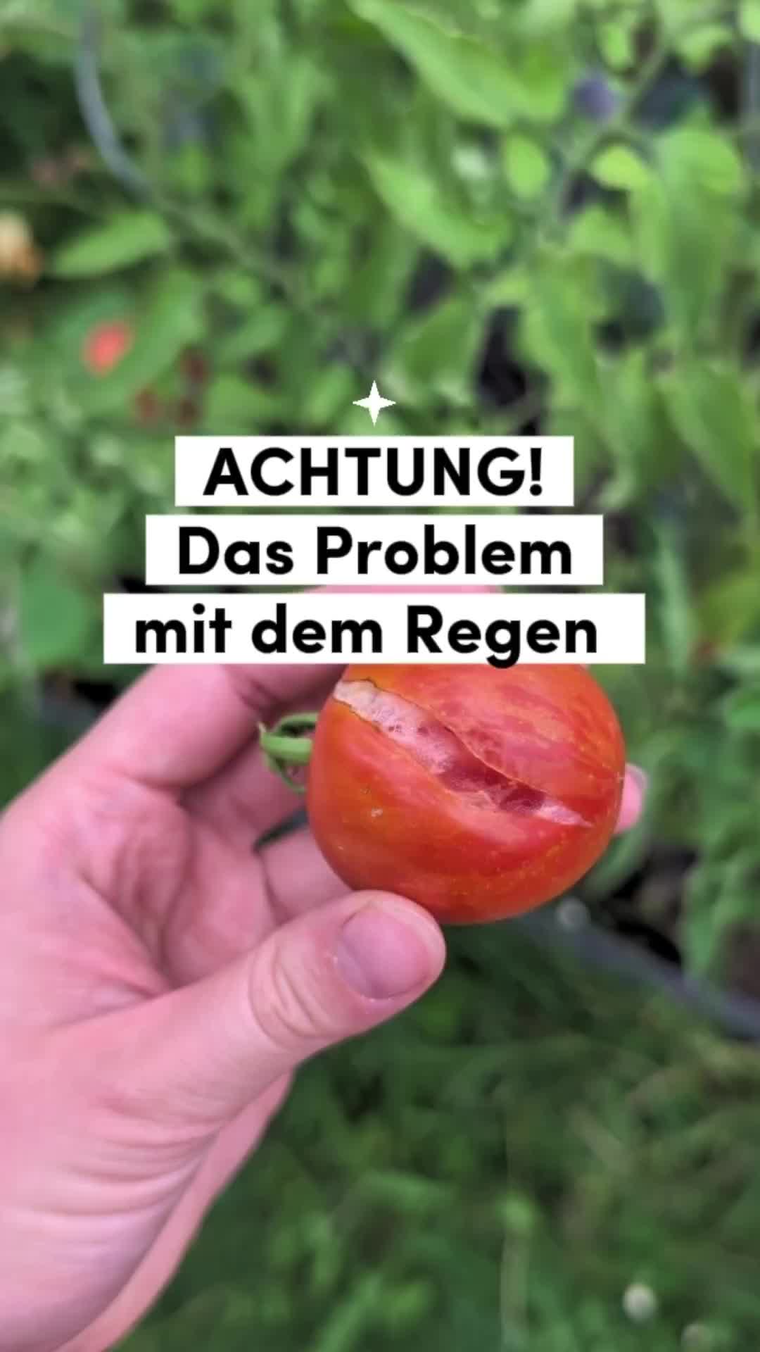 @ErnteExperte