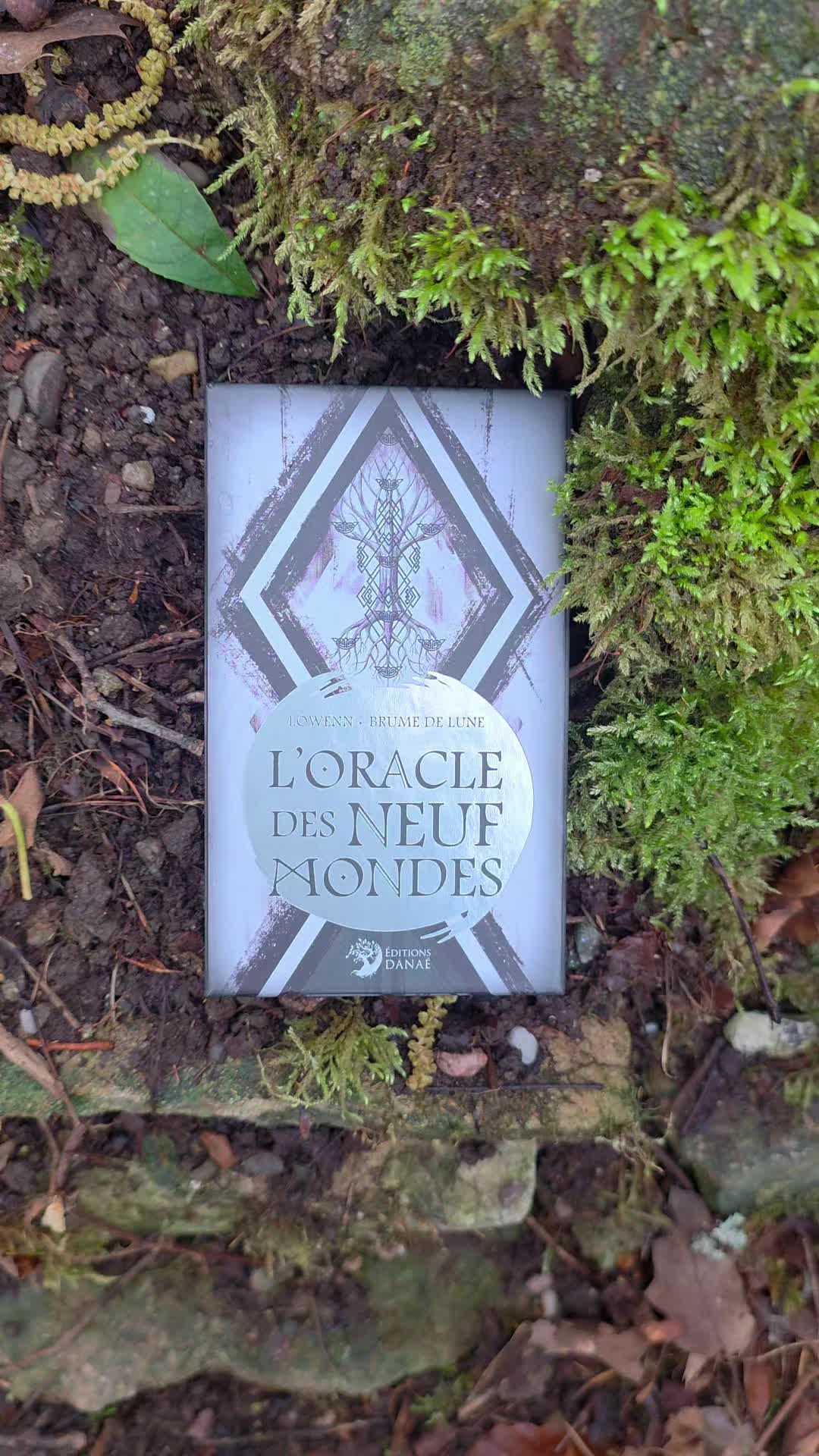 @Lutin_magique
