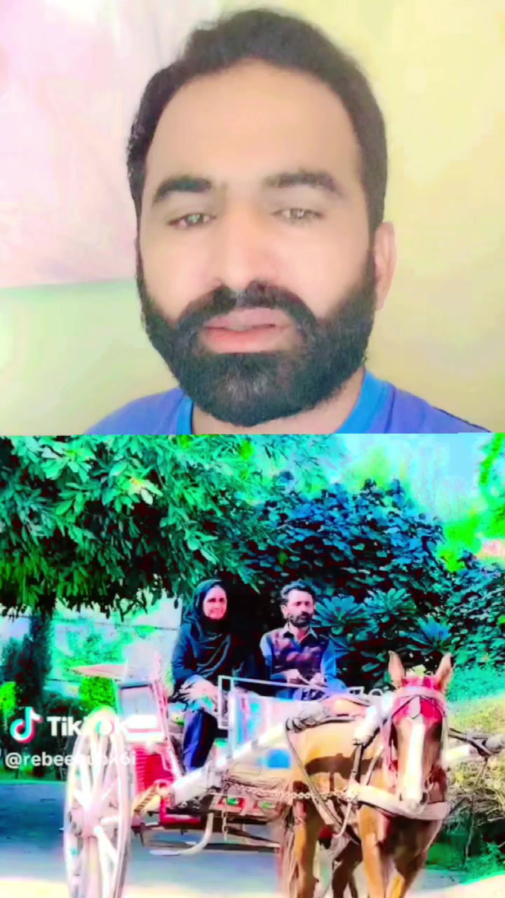 @سیدعامرشیرازی913