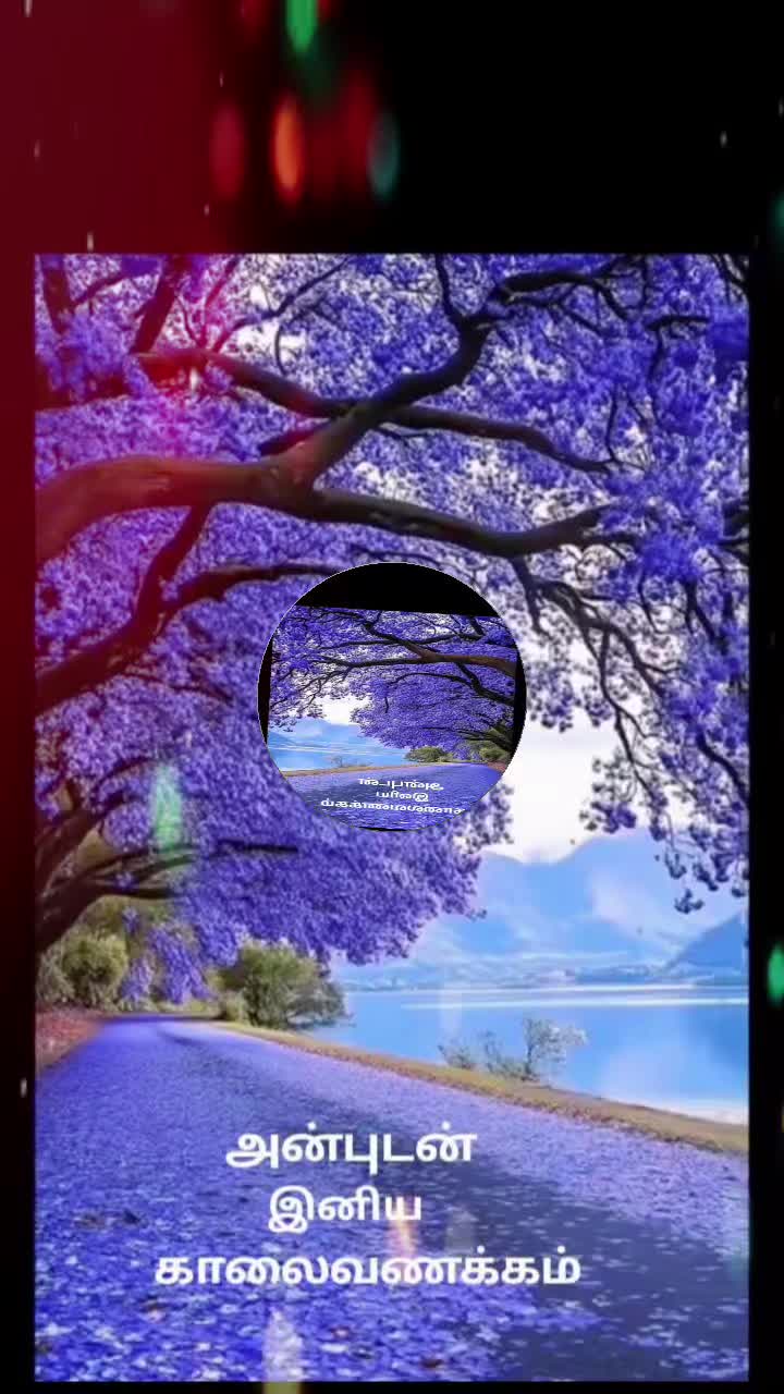 @Sai Meena