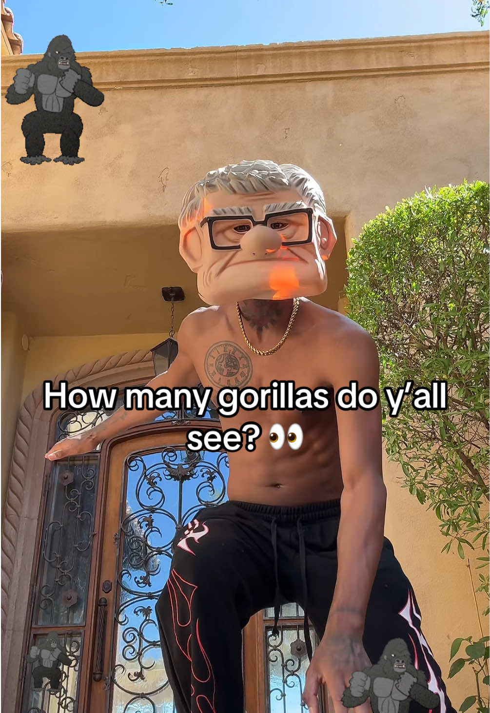 @SPIDA 🕷️