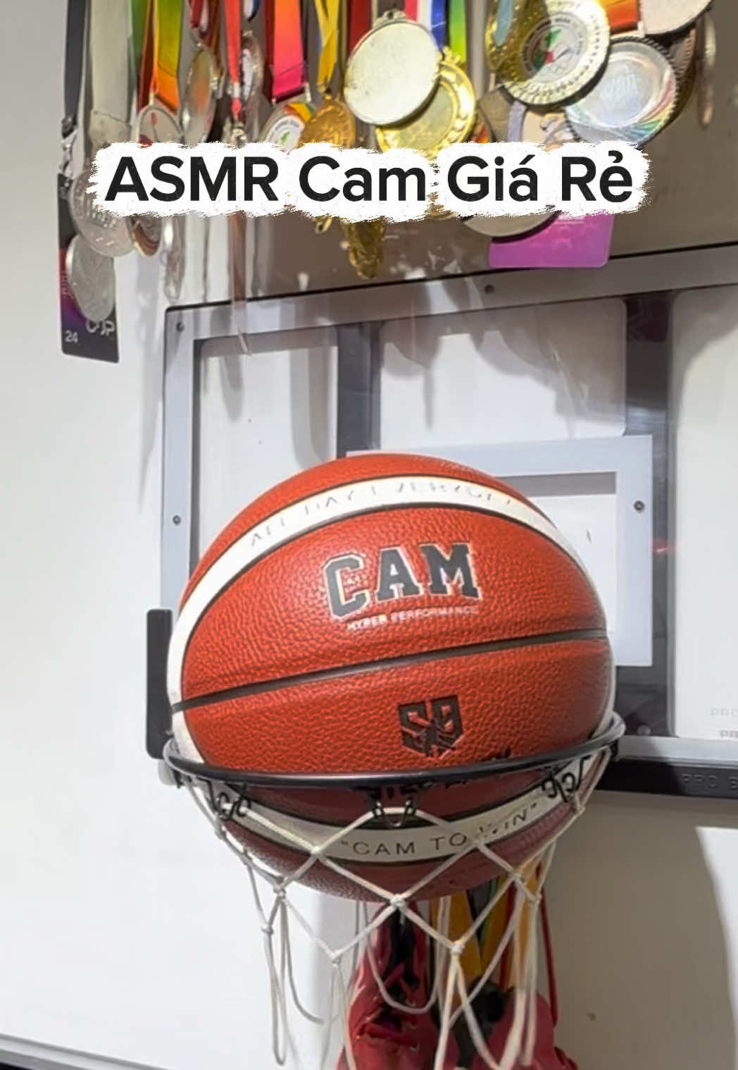 @🏀 Hành Tinh Bóng Rổ ⛹️♂️