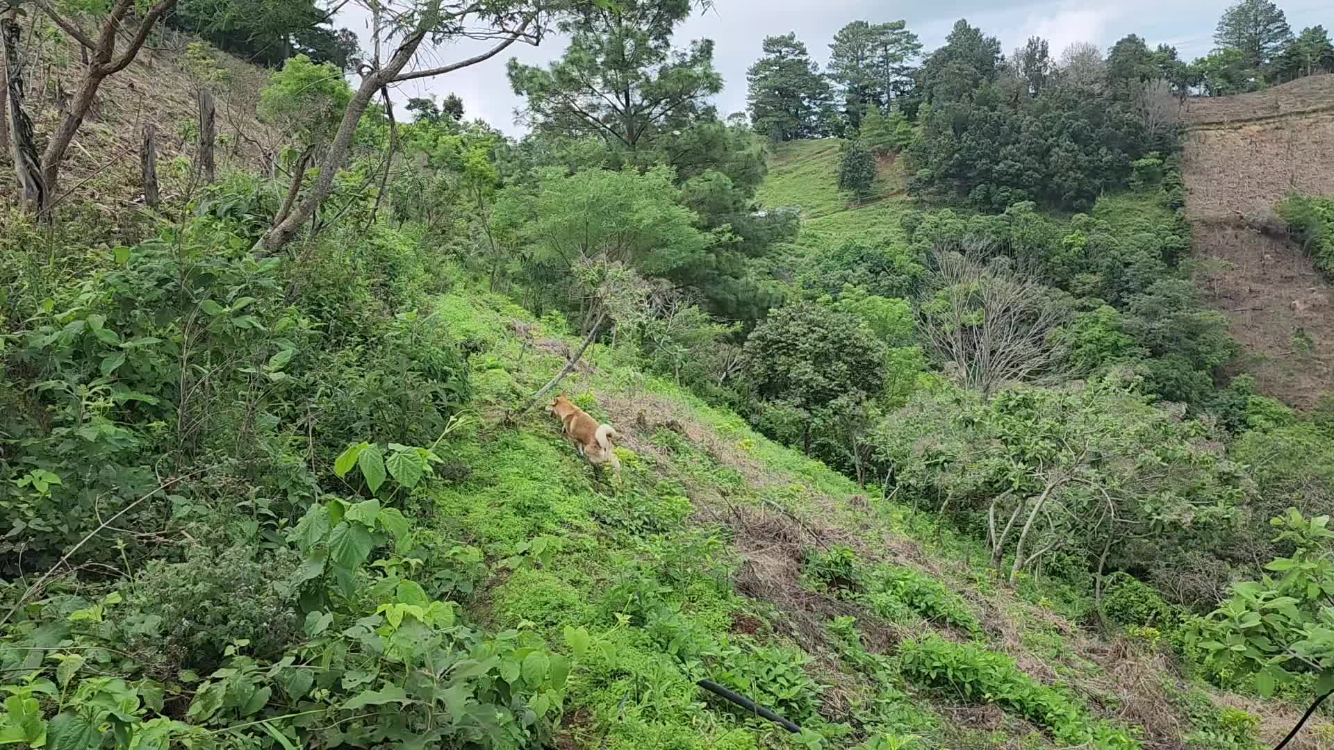 @Elíseo Rodríguez🐎