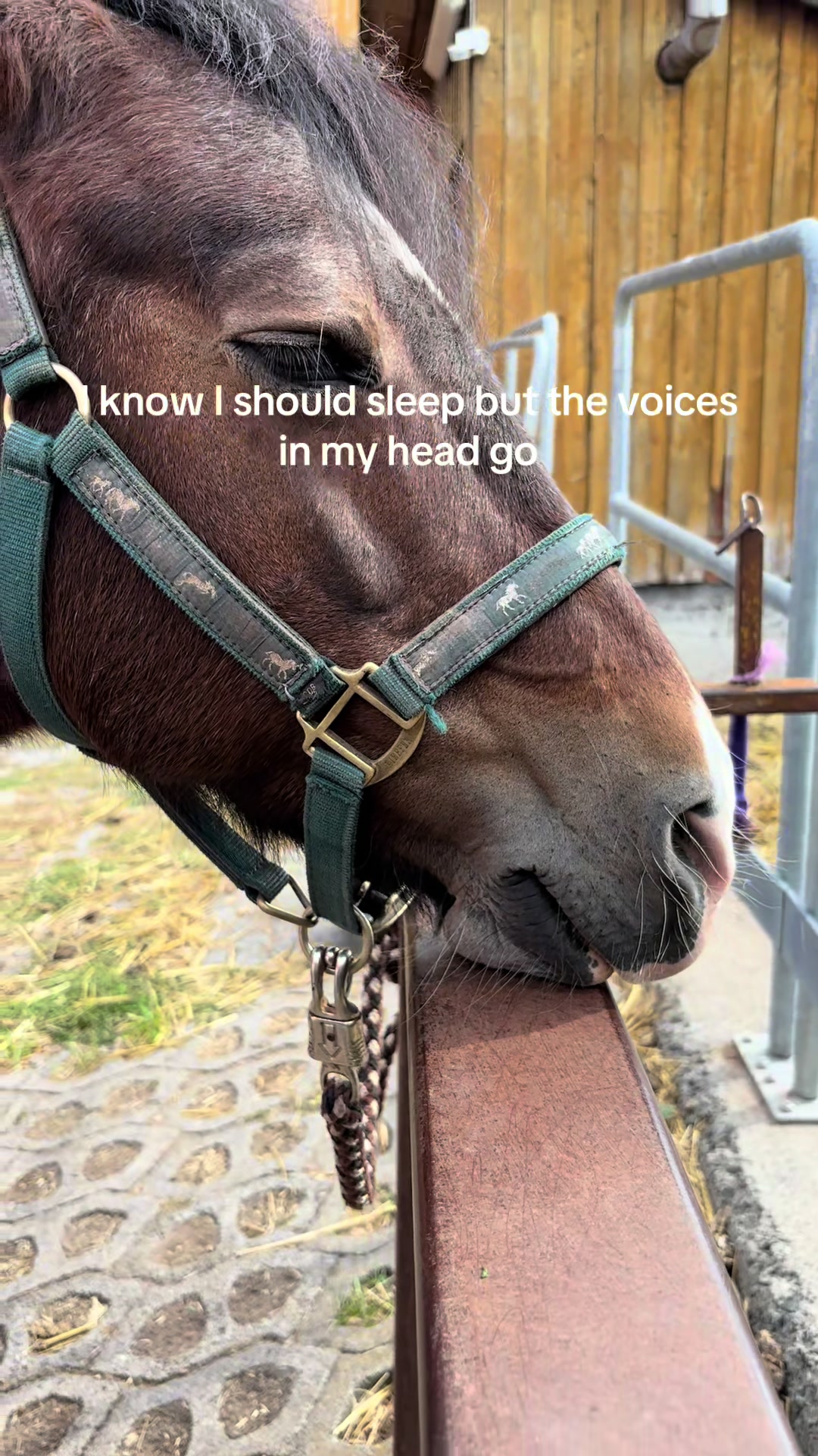 @Kinderreitenfulda