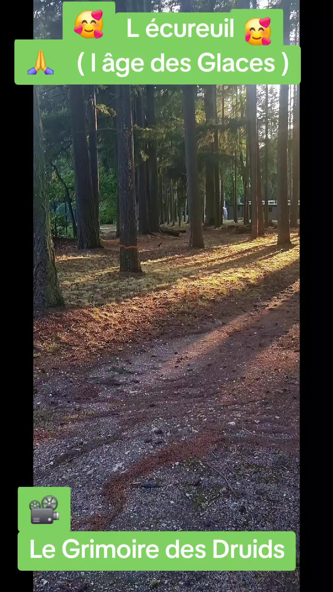 @OrèlO