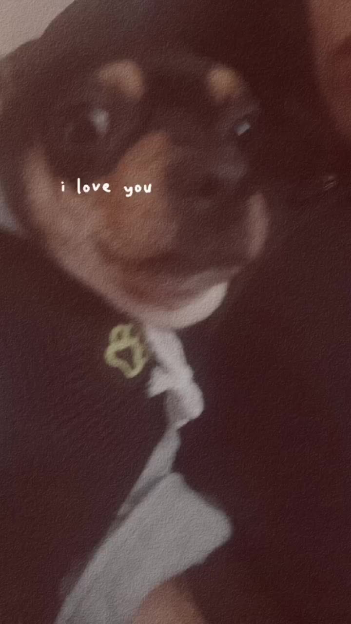 @maiky🪽❤️🪽