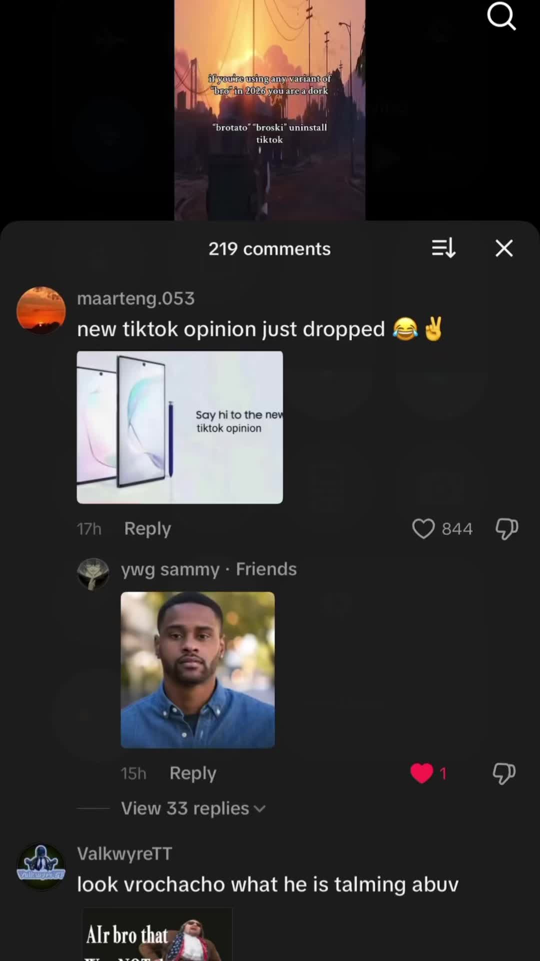 @skib