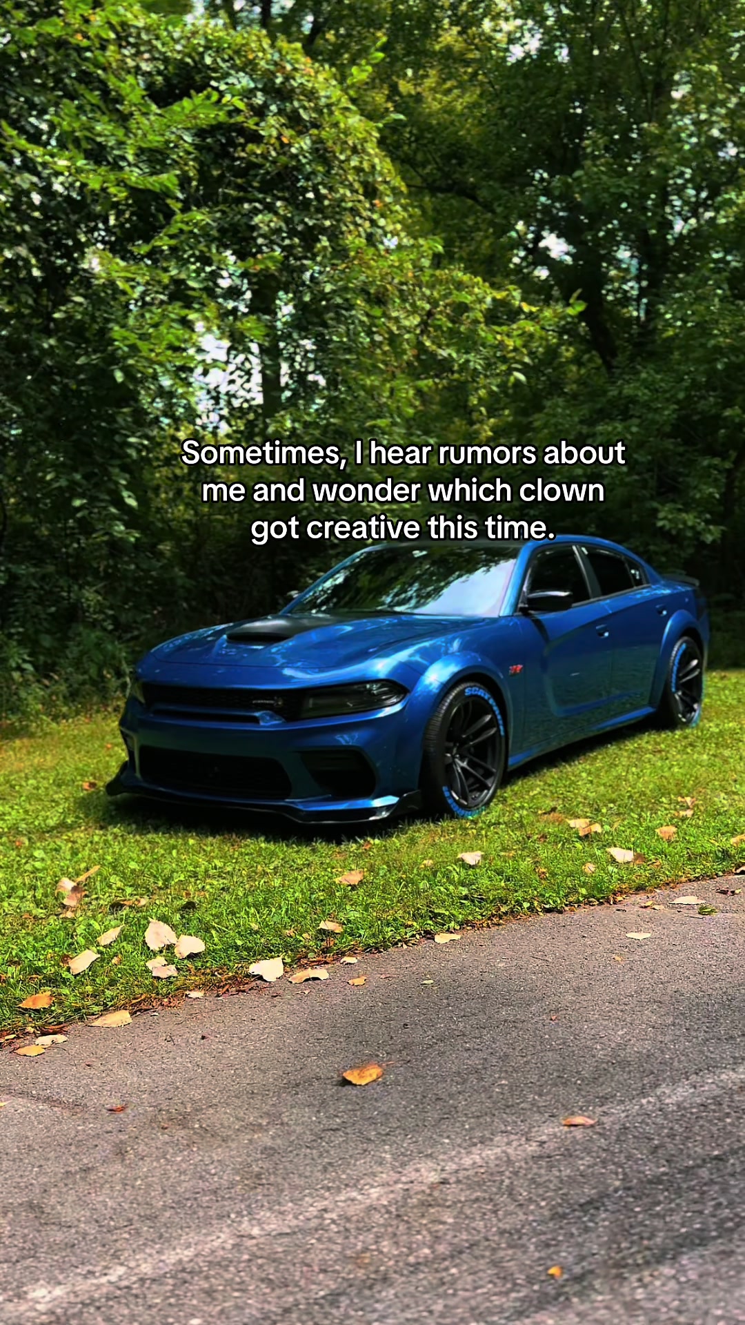 @317VIEWZ