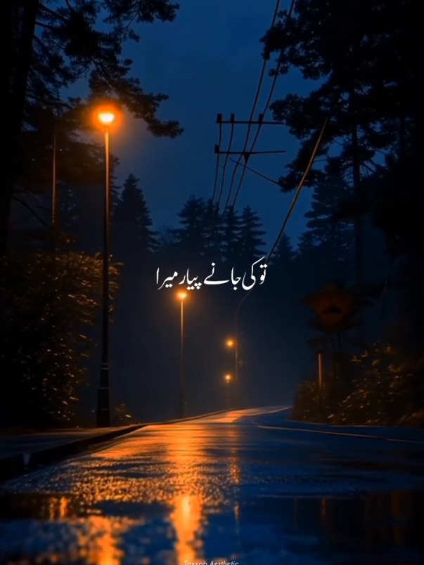 @𝙏 𝘼 𝙔 𝙔 𝘼 𝘽🍁&bull;