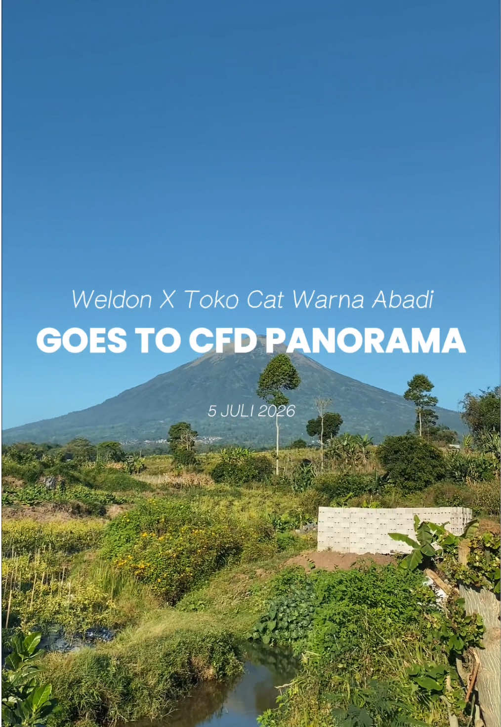 @weldonwallpaint