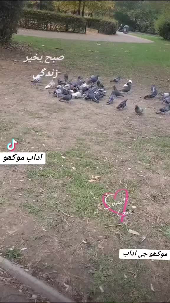 @NAR🌹RANI