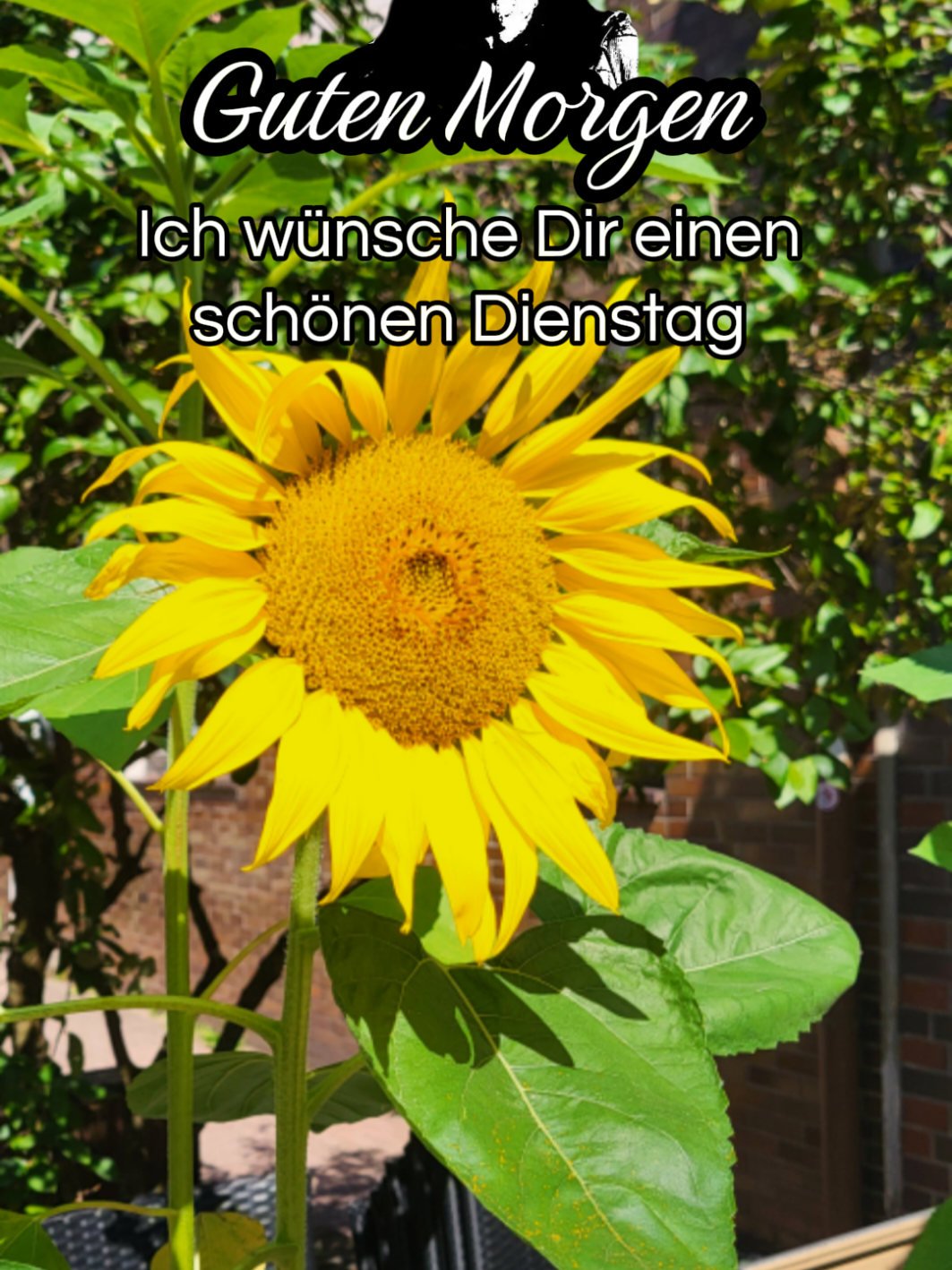 @Binni Jörg