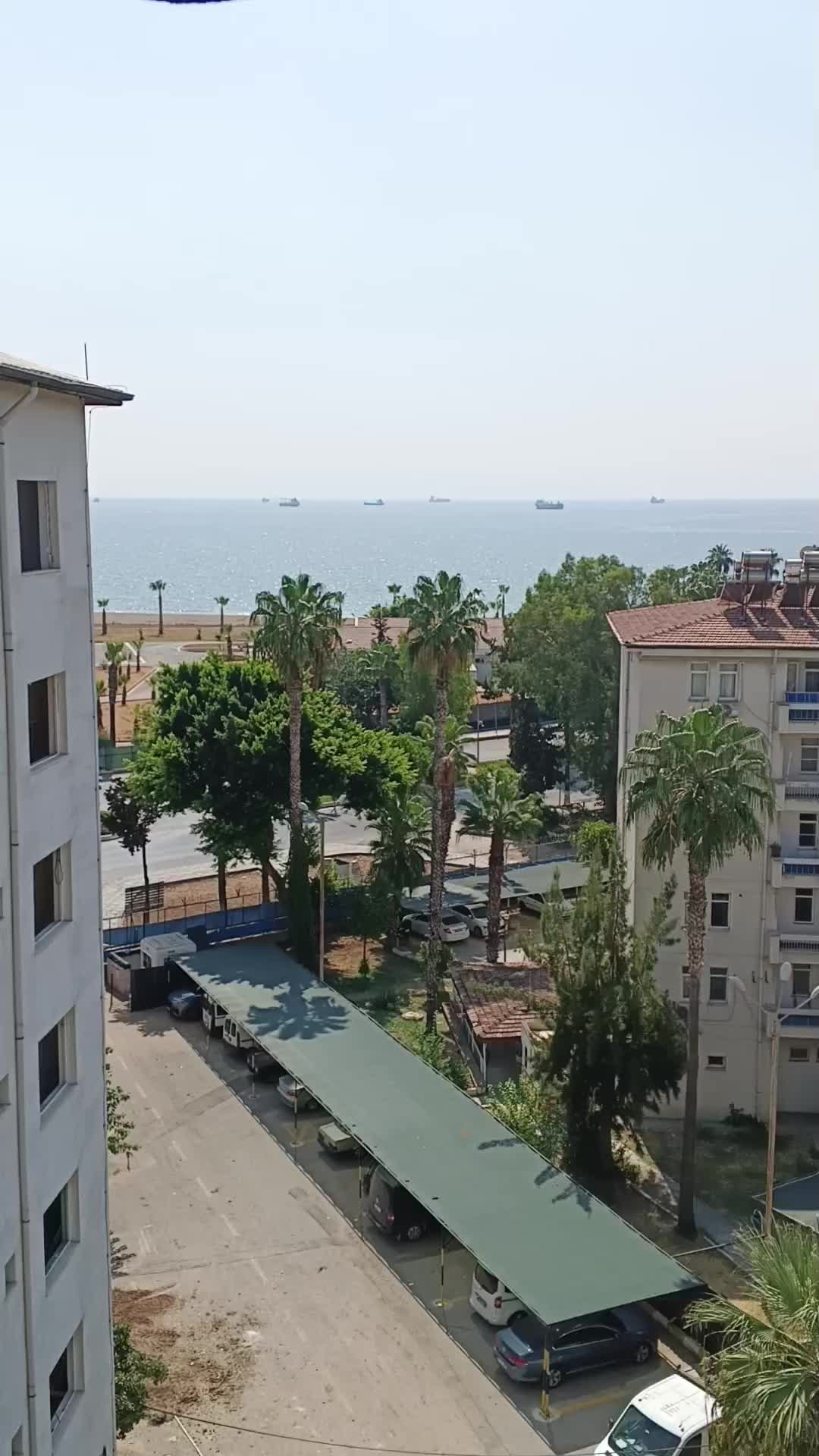 @Selim Altin