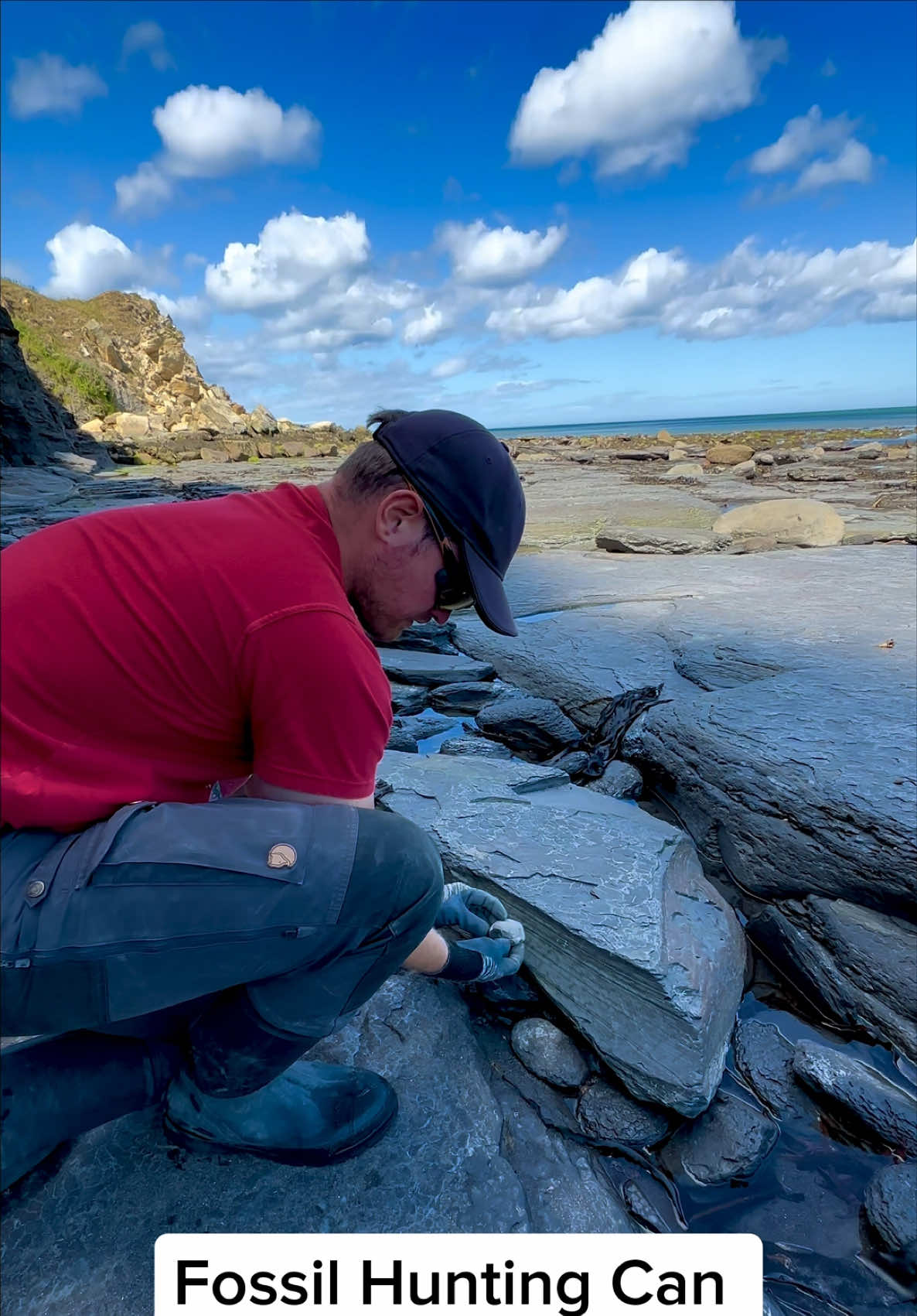 @yorkshire.fossils