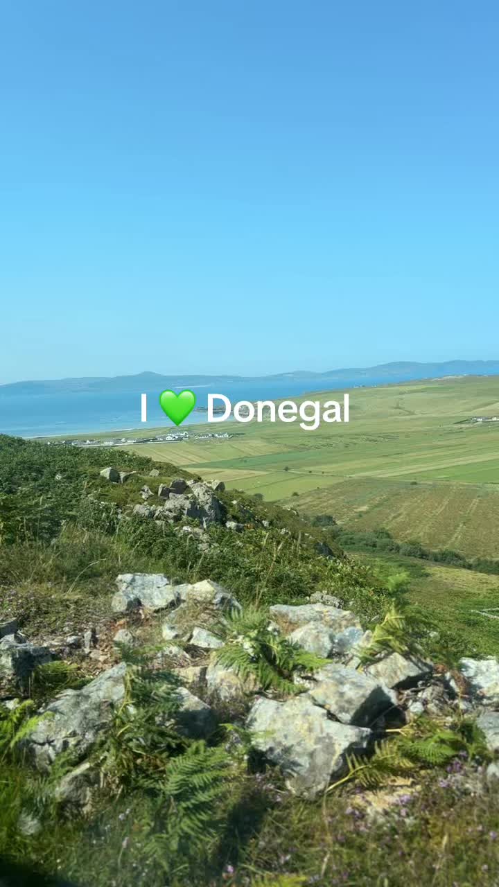 @Kelly Gough🌶️☘️
