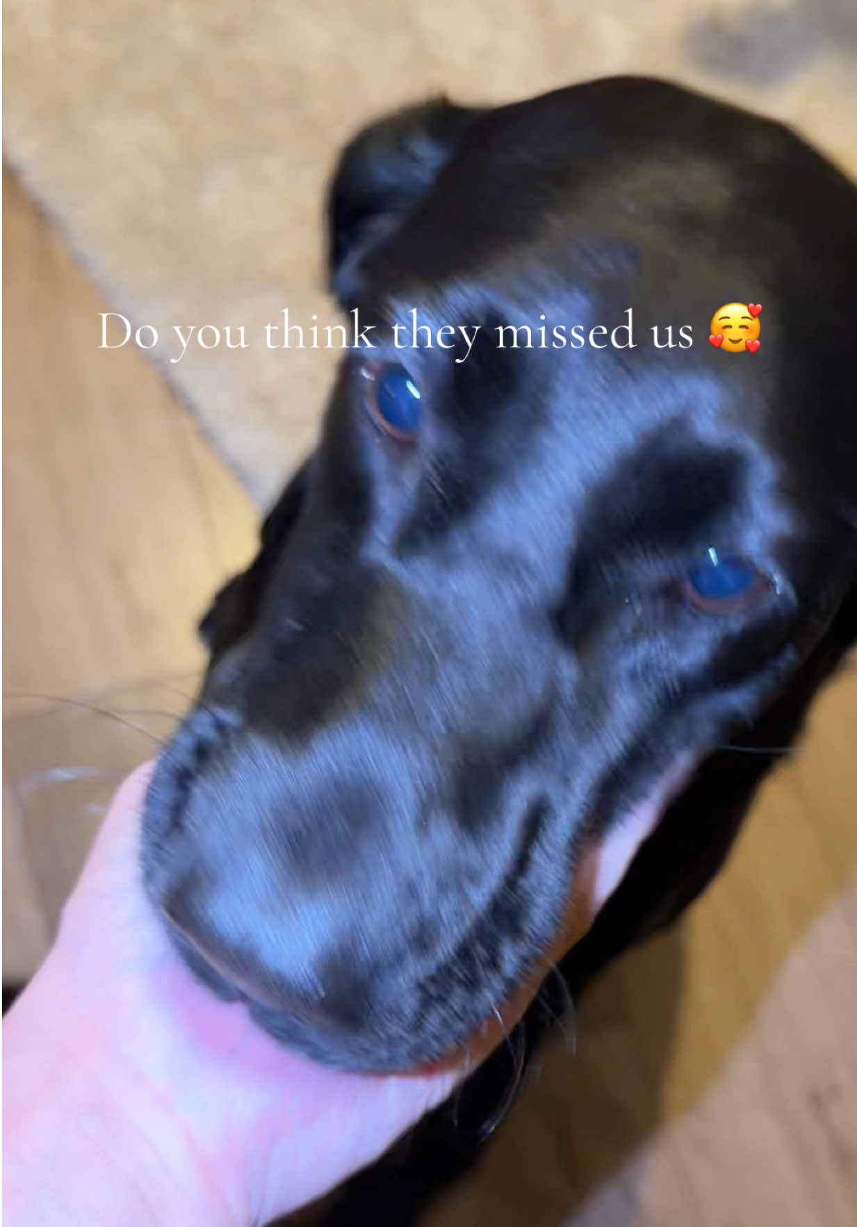 @Penny 🧡 Luna