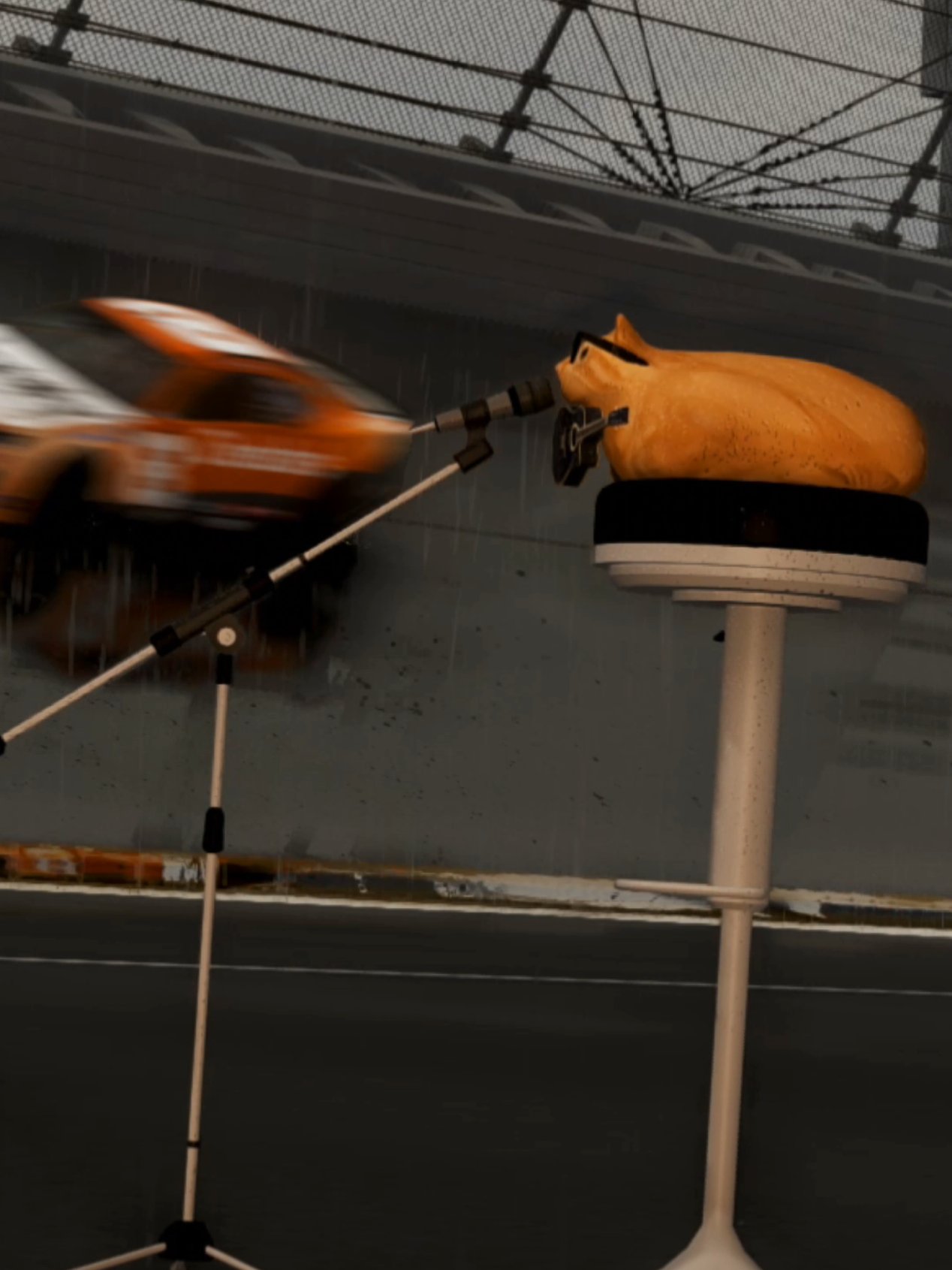 @Pablo the Race Cat
