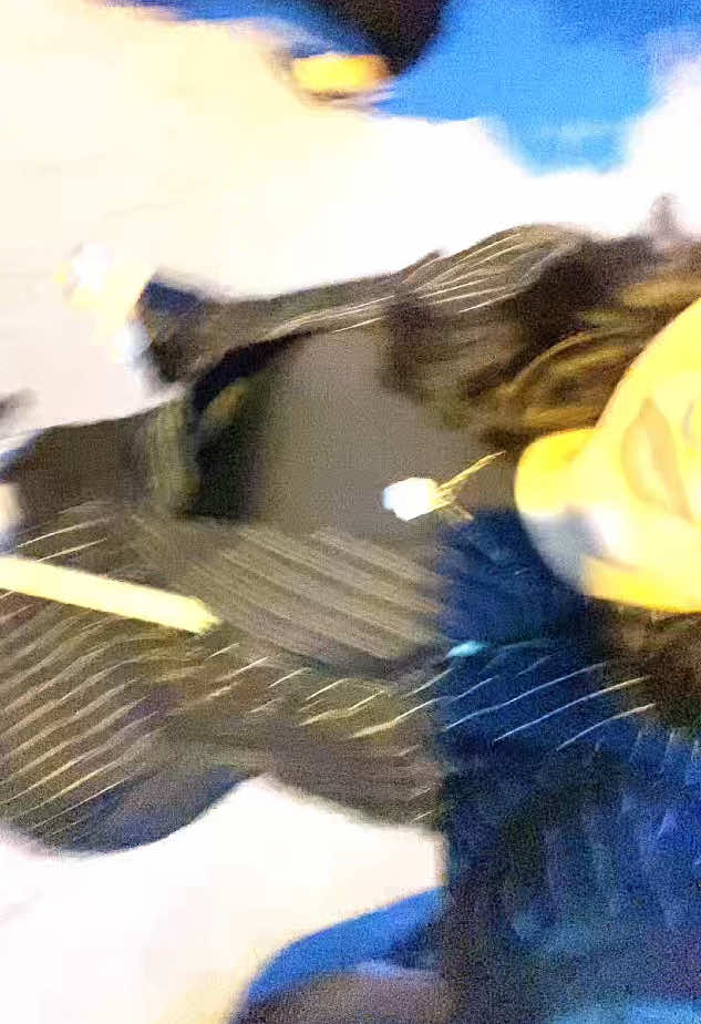 @alessiaa🎰