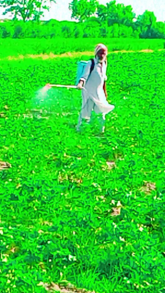 @zanwar