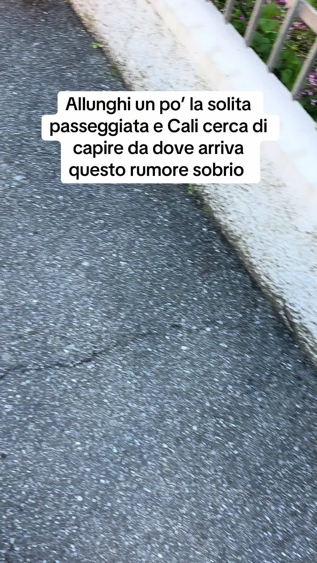 @Raffa&Cali