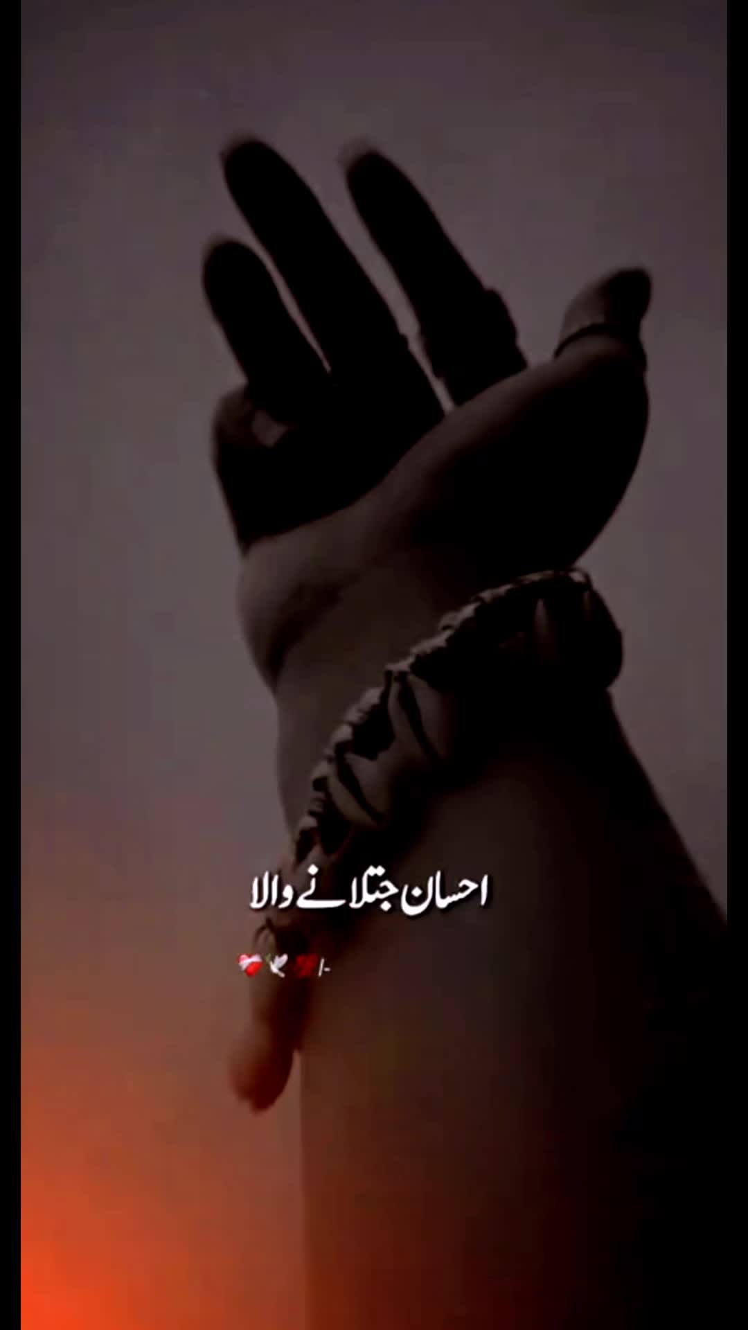 @kb999