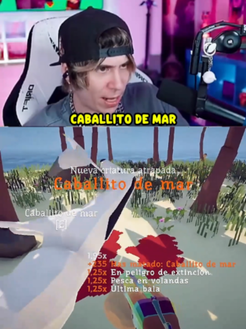@Rubi Clips