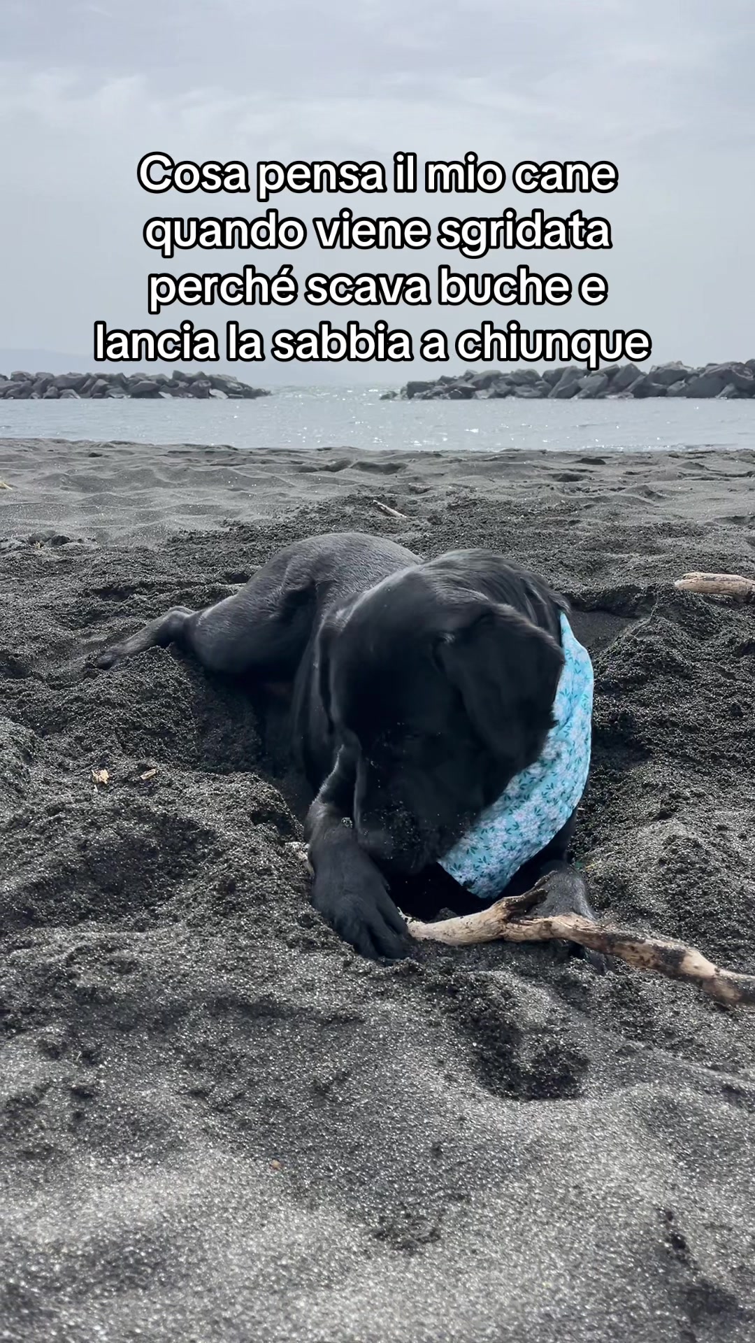 @Cloe e sabry🖤🐾