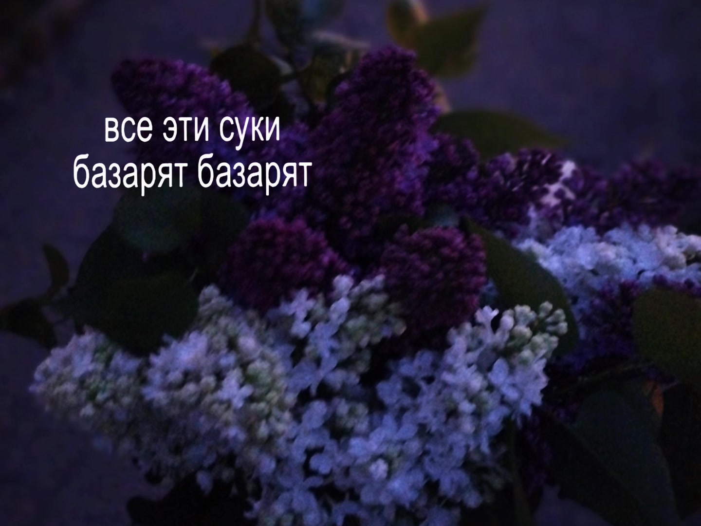 @февральская?⚜️