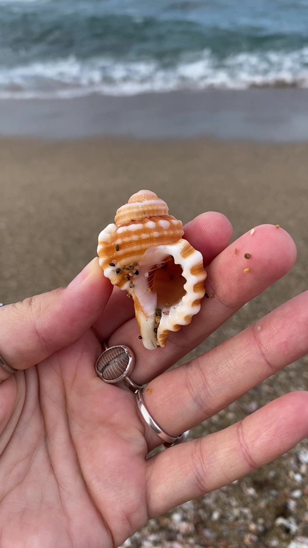 @🐚Jojo🌴