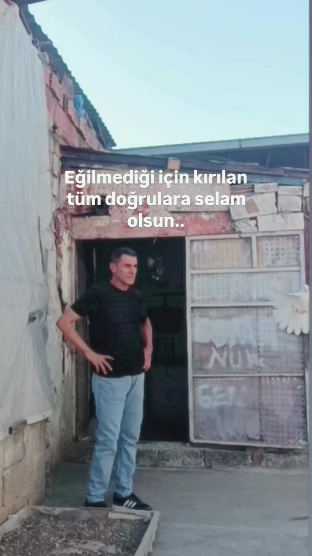 @Alican aydın