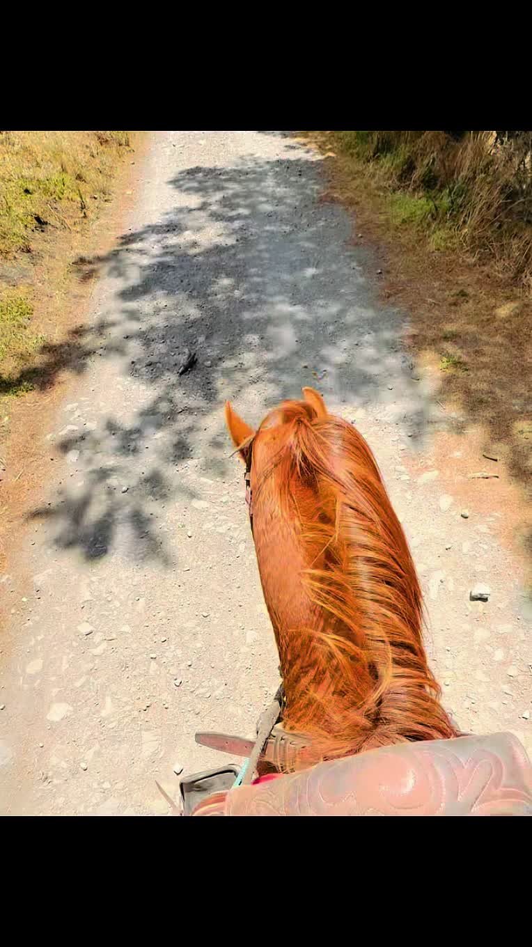 @gio_loja 𐚁Ω🐎