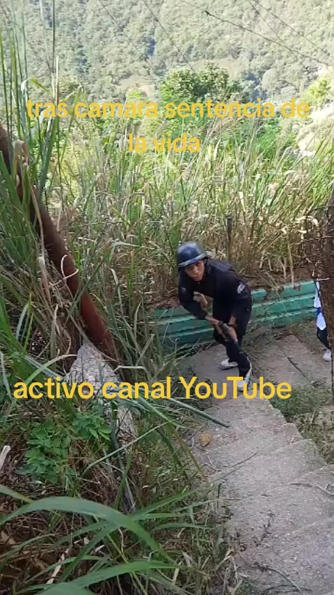 @👾😎amoroso comedia 😈🥸