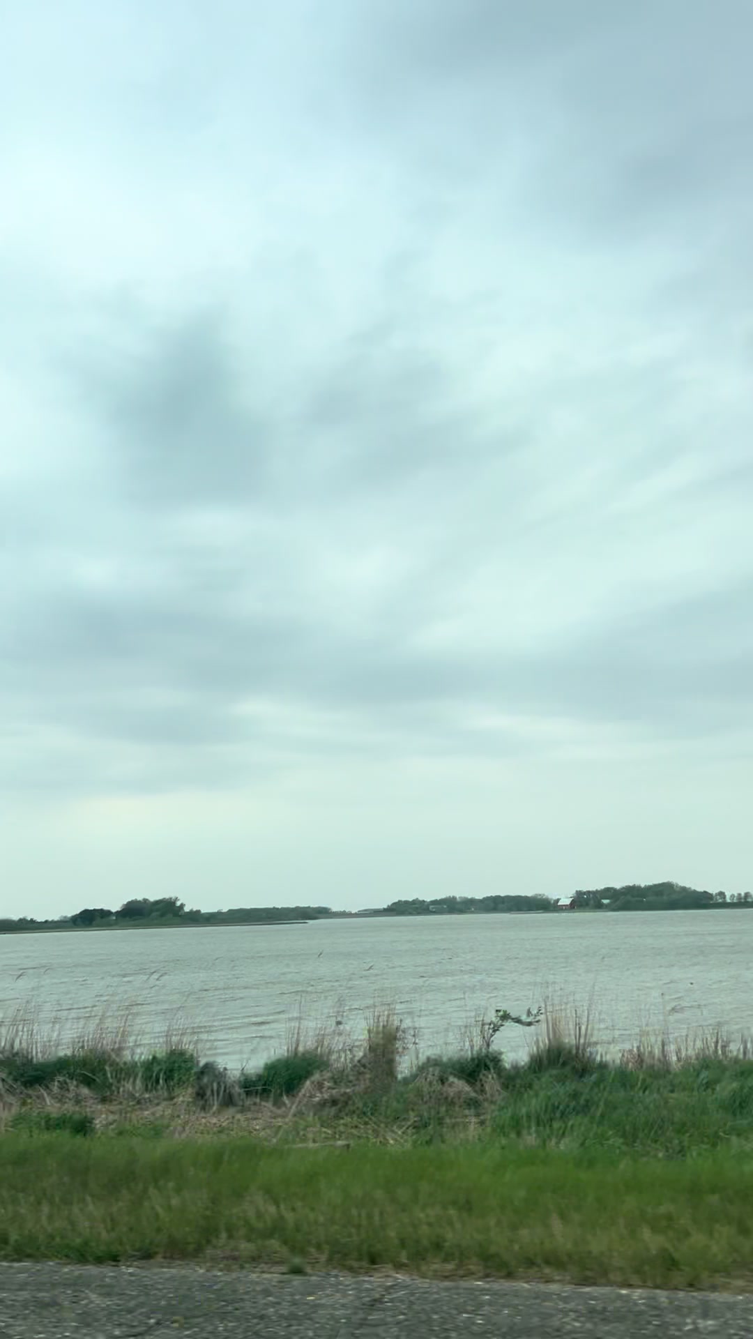 @Delia Flores 🇲🇽