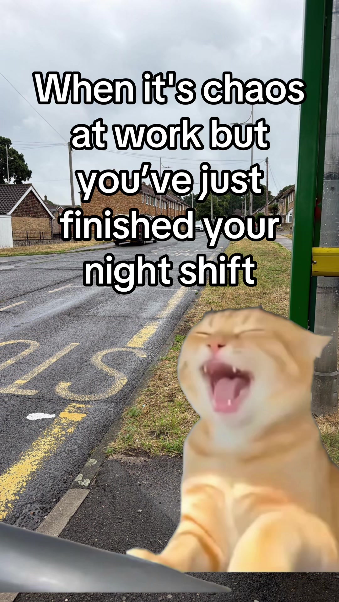 @Curtis